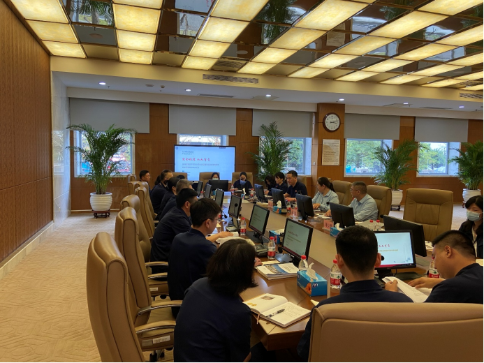 佳保为某集团公司做项目阶段工作汇报